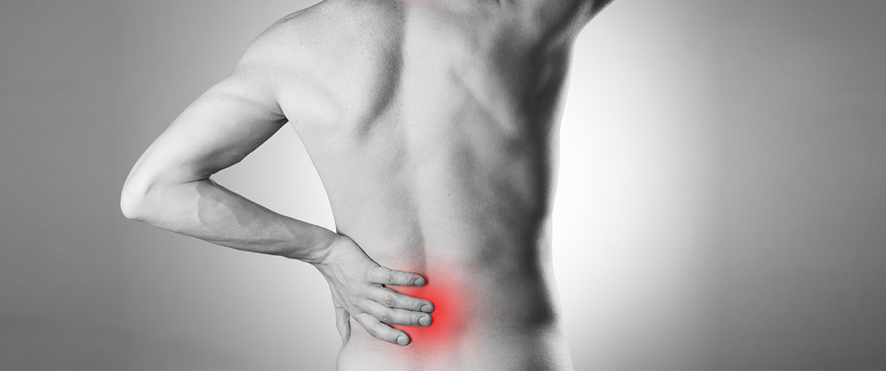Mal di schiena (patologia della colonna vertebrale) - Dott. Marco Paonessa - Fisioterapia Osteopatia